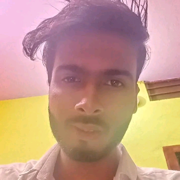 Freelance Digital Marketer Harsh Roy | SEO, PPC, Meta Ads